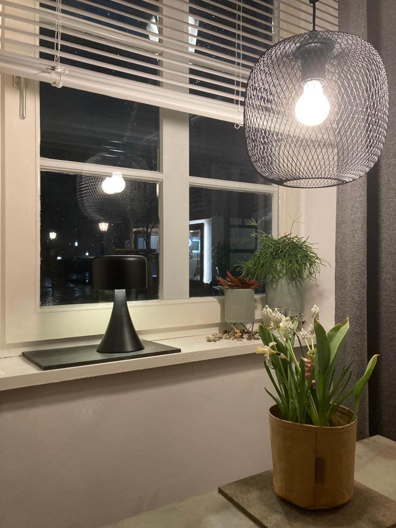 Haus Am Stadttor 哈廷根 外观 照片