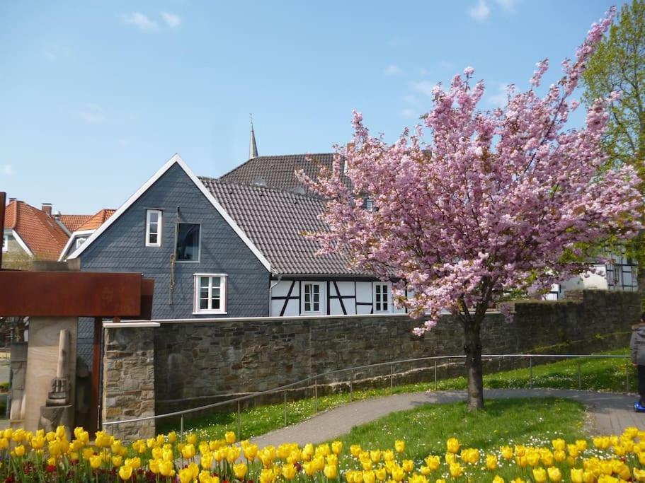 Haus Am Stadttor 哈廷根 外观 照片